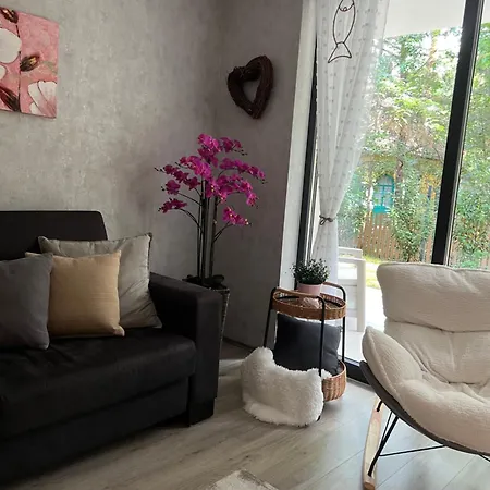 Partlak 33 Apartament *
